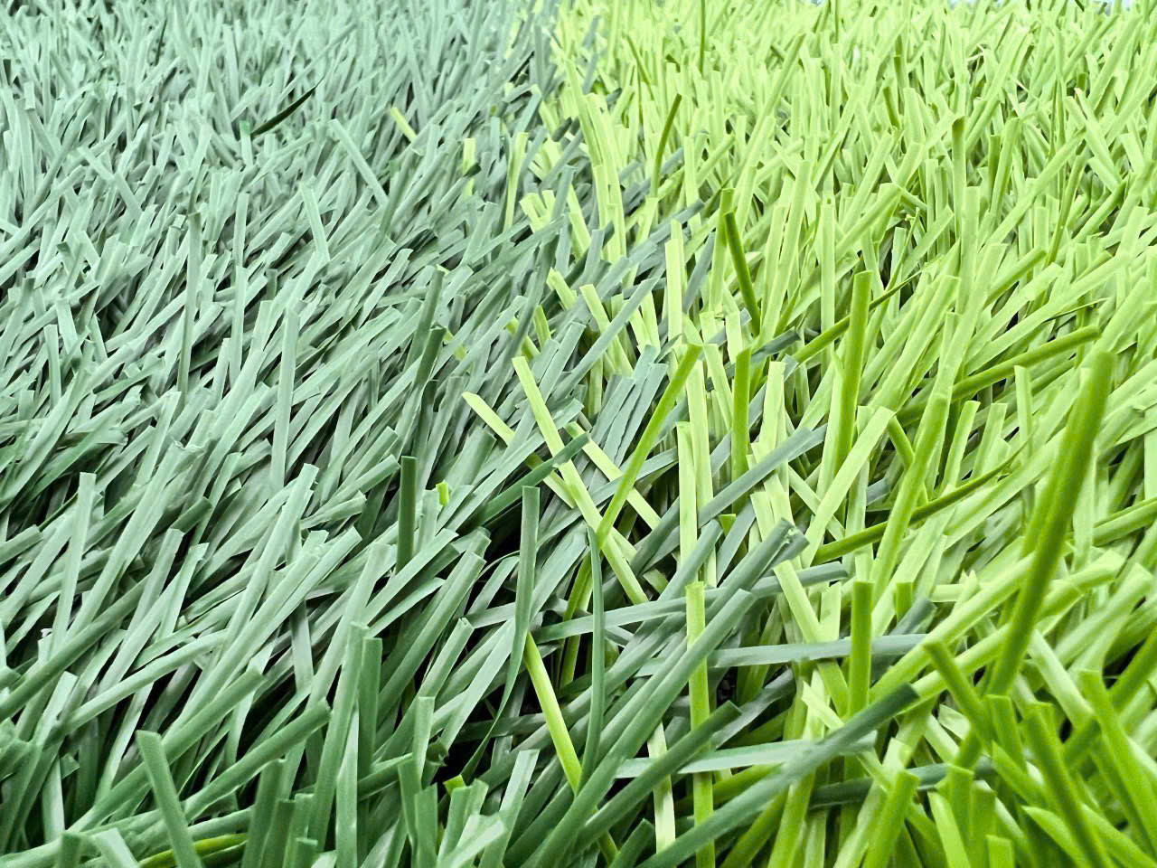 Cỏ Sân Bóng DTF38T102