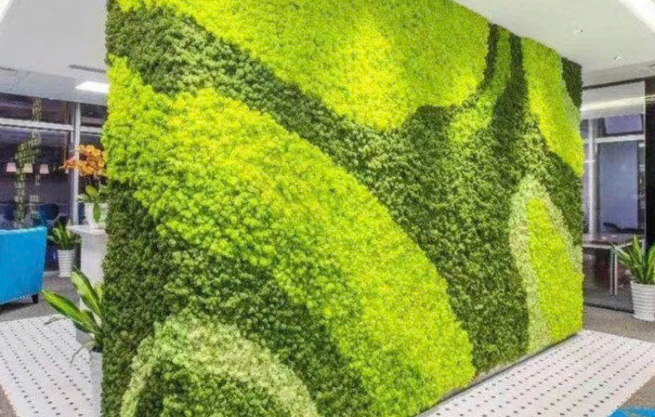 Anh An - Quận Hoàng Mai