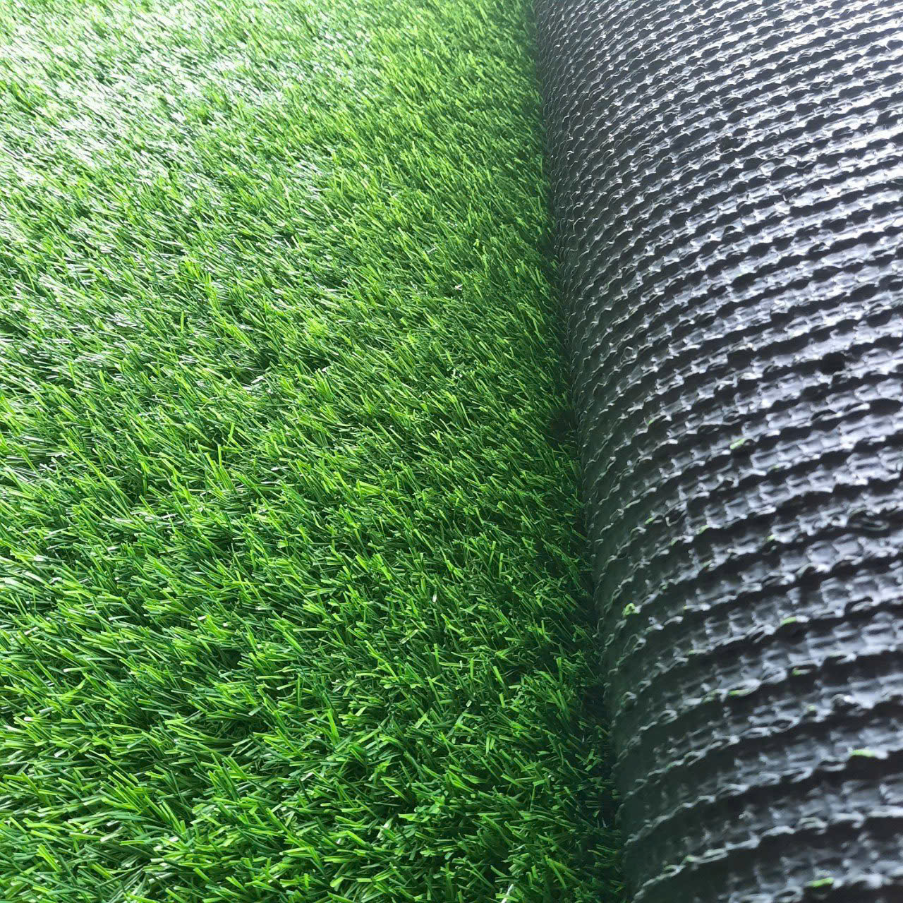 Cỏ Nhân Tạo DTF 3016T