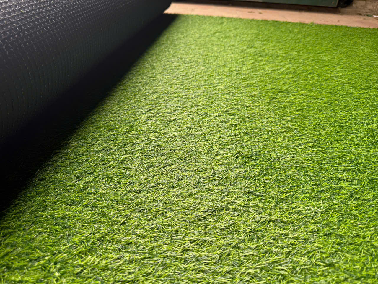 Cỏ Nhân Tạo DTF 301580