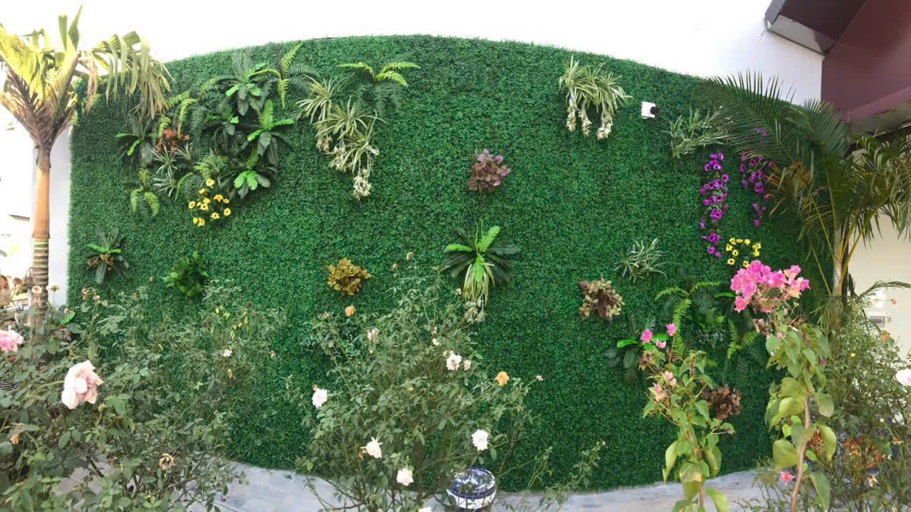 Cỏ nhân tạo DTF 30