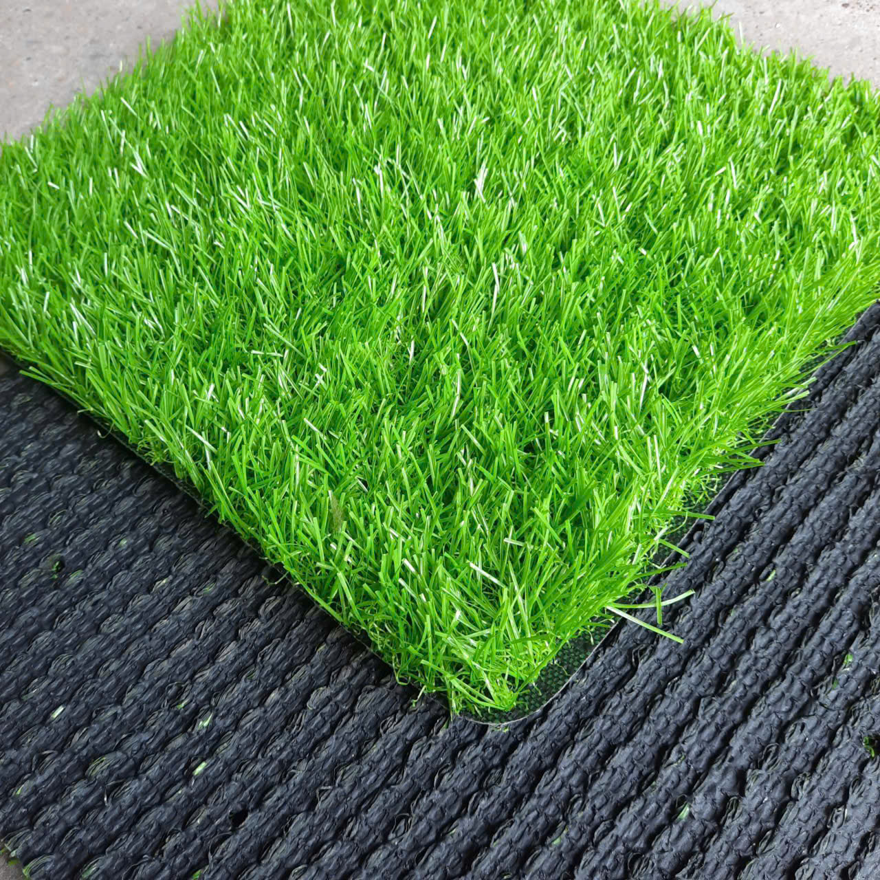 Cỏ Nhân Tạo DTF 3012