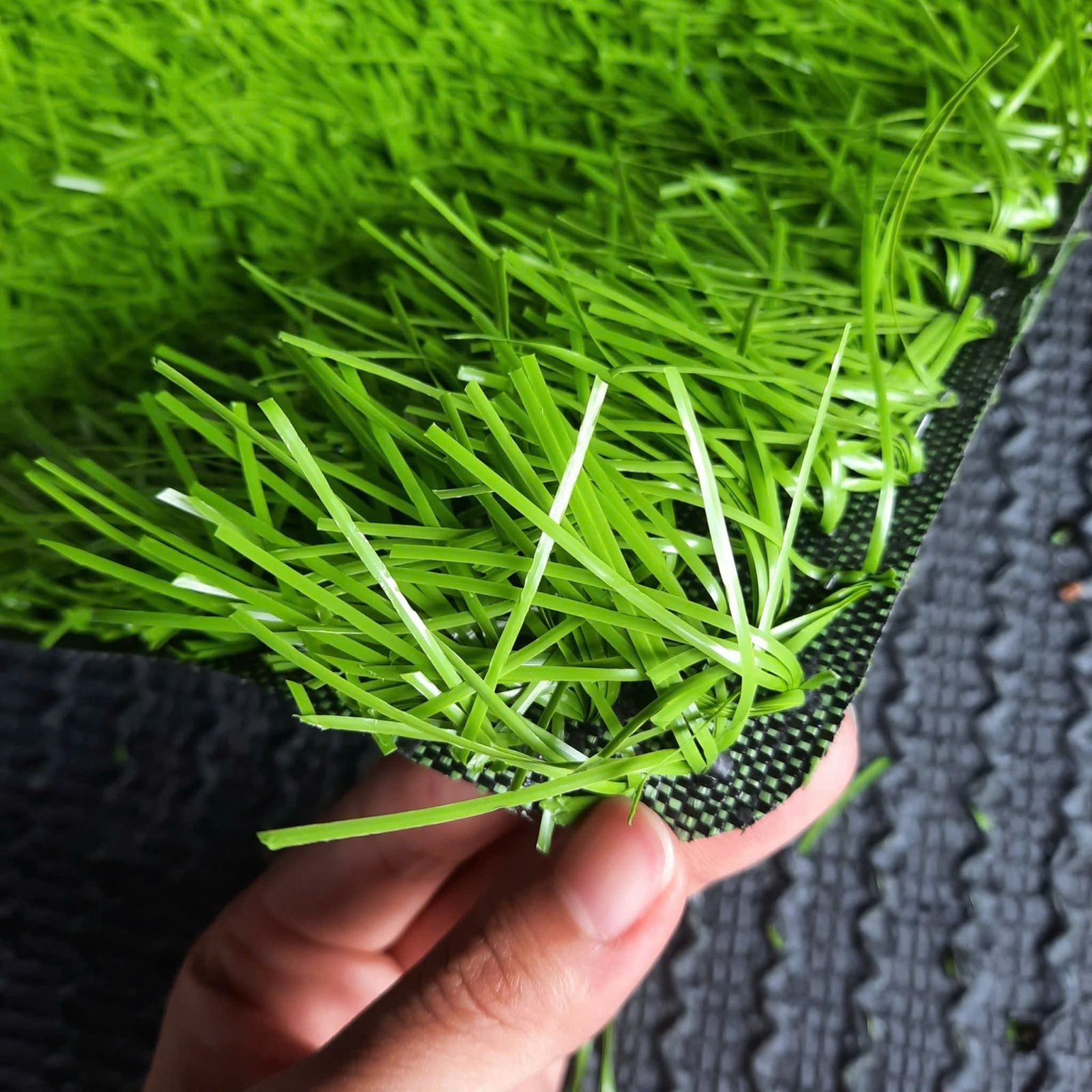 Cỏ Sân Bóng ĐÁ DTF516T77